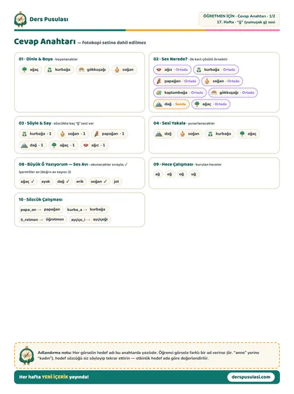 Cevap anahtarı önizlemesi