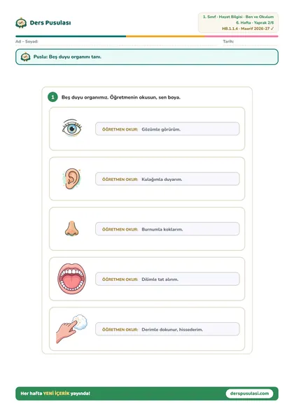 Duyu Organlarım yaprağı önizlemesi
