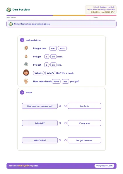 Language yaprağı önizlemesi