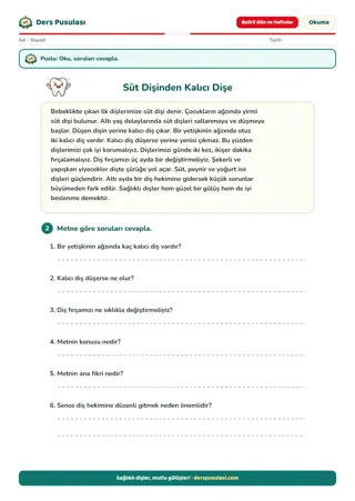 Süt Dişinden Kalıcı Dişe yaprağı önizlemesi