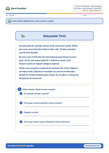 Bahçedeki Tırtıl yaprağı önizlemesi
