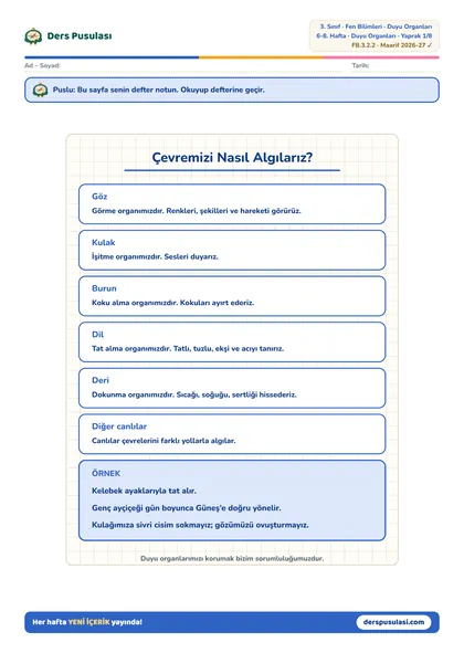 Defter Notu yaprağı önizlemesi