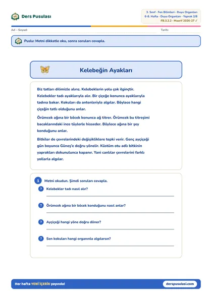 Kelebeğin Ayakları yaprağı önizlemesi