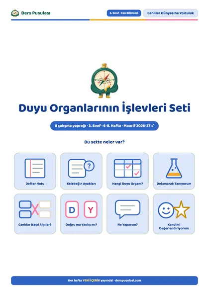 Duyu Organlarının İşlevleri Seti önizlemesi