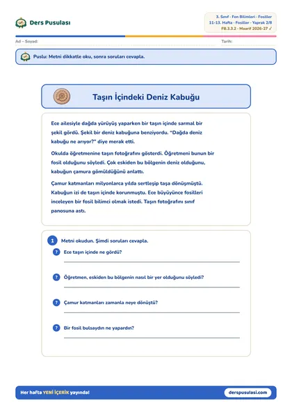 Taşın İçindeki Deniz Kabuğu yaprağı önizlemesi