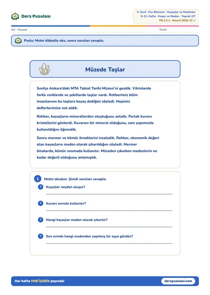 Müzede Taşlar yaprağı önizlemesi