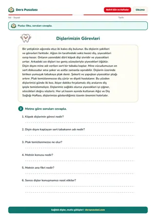 Dişlerimizin Görevleri yaprağı önizlemesi