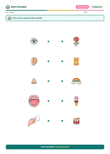 5 Duyumuz yaprağı önizlemesi